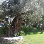 Aparthotel Muskebi 3*