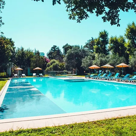 Muskebi Ortakent
