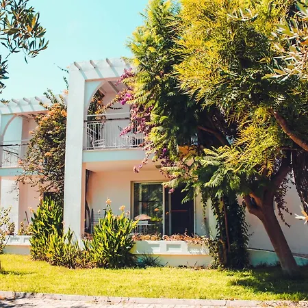 Muskebi 2* Ortakent