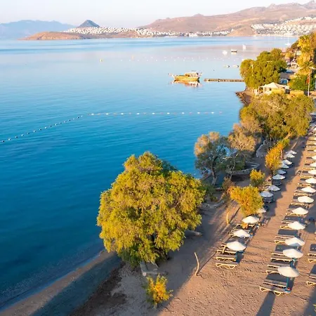 Muskebi Aparthotel 2*