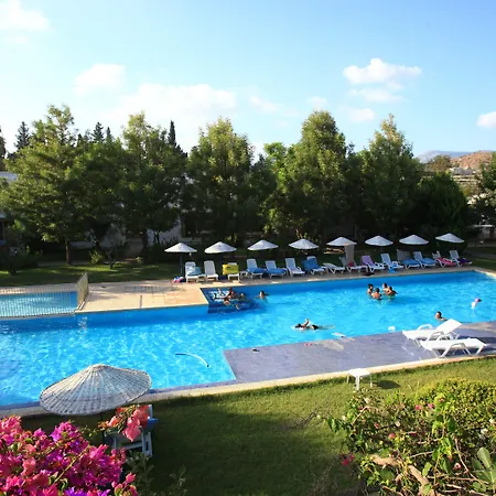 Muskebi 3* Ortakentyahşi