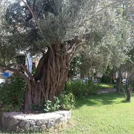 Appart hôtel Muskebi 2*