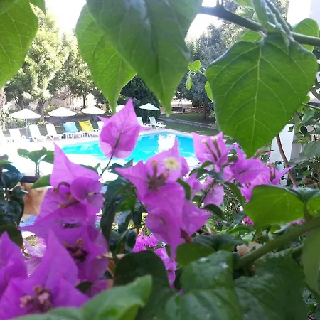 Muskebi Aparthotel 2*