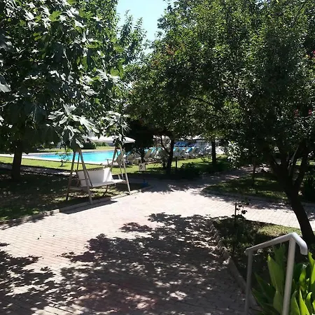Muskebi 2* Ortakent