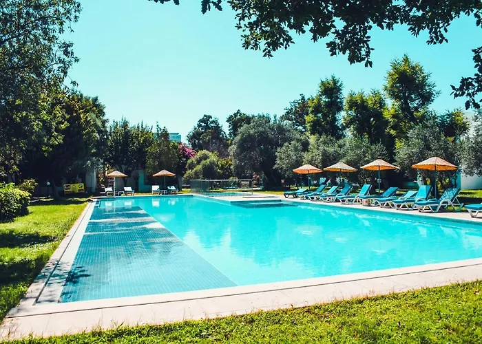 Muskebi אורטקנט