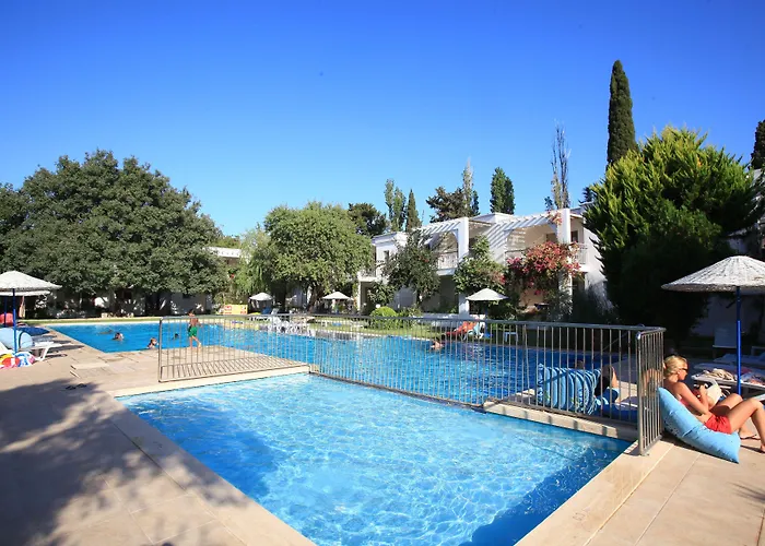 Muskebi אורטקנט