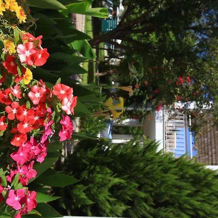 Muskebi アパートホテル オータキャンツ