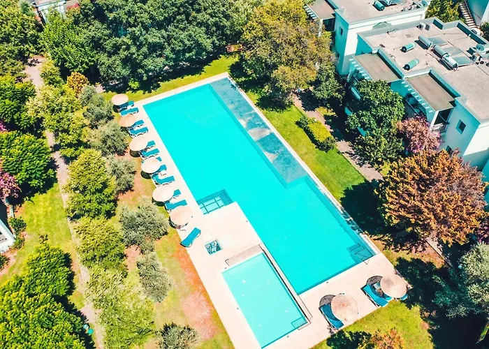 Muskebi אורטקנט