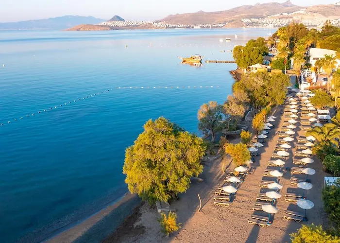 Muskebi Apart Otel 3*