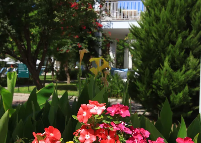 Muskebi Apart Otel 3*