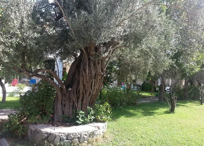 Apart Otel Muskebi 3*