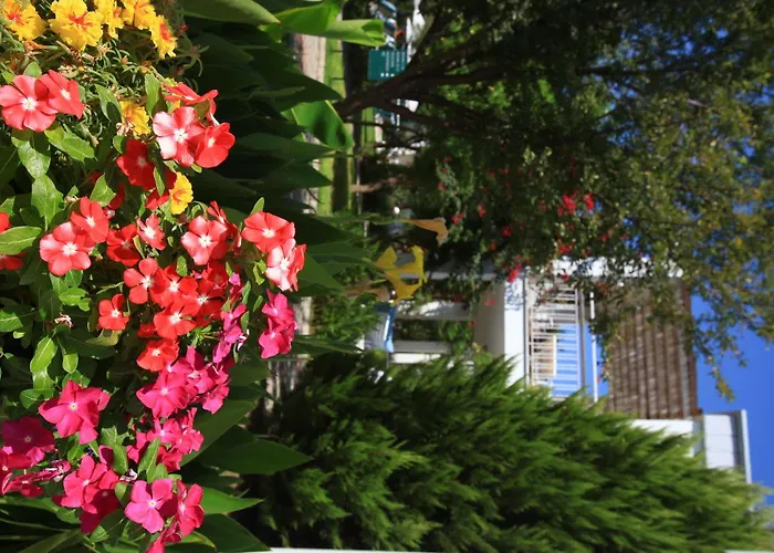 Muskebi Apart Otel Ortakent